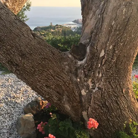 La Terrazza Del Duca Apartmán