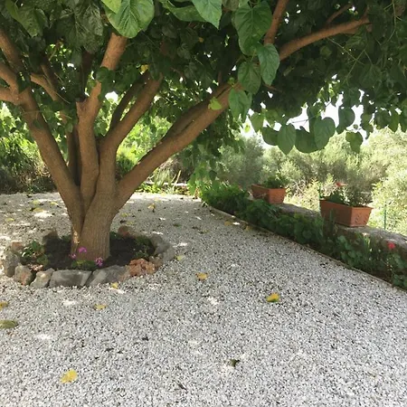 La Terrazza Del Duca * Marina di Camerota
